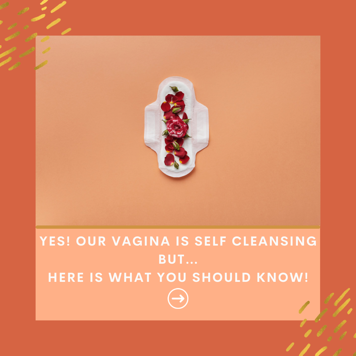Yes! Our Vagina Is Self Cleansing But... Here Is What You Should Know!